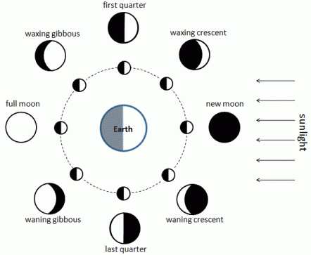 Phases of the Moon from https://upload.wikimedia.org/wikipedia/commons/6/6a/Moon_Phase_Diagram_for_Simple_English_Wikipedia.GIF